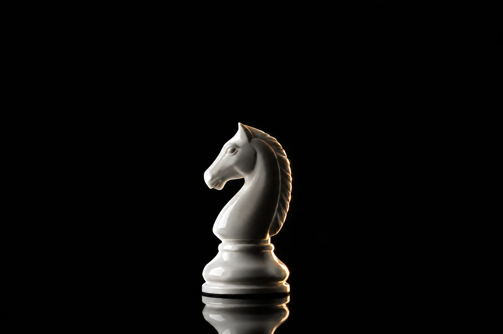 A glass chess knight on a black background